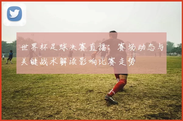 世界杯足球决赛直播：赛场动态与关键战术解读影响比赛走势