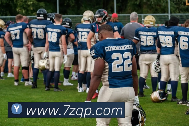 爱游戏官网网页版入口服务体系